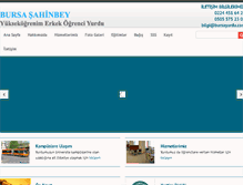 Tablet Screenshot of bursayurdu.com